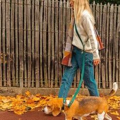 Pop Dog - Laisse Bandoulière Elégant Vert Pour Chien - M/L -Pet Soldes 69001