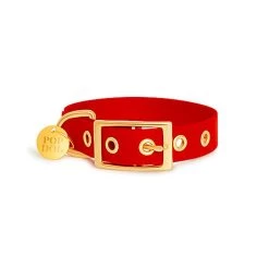 Pop Dog - Collier à Œillet Diablotin Rouge Pour Chien - XS -Pet Soldes 72535