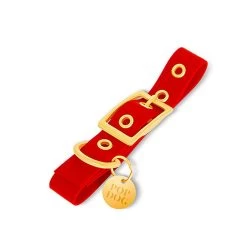 Pop Dog - Collier à Œillet Diablotin Rouge Pour Chien - XS