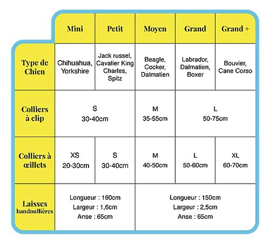 Pop Dog - Laisse Bandoulière Précieux Violet Pour Chien - M/L 2 Pop Dog - Laisse Bandoulière Précieux Violet Pour Chien - M/L – Image 2