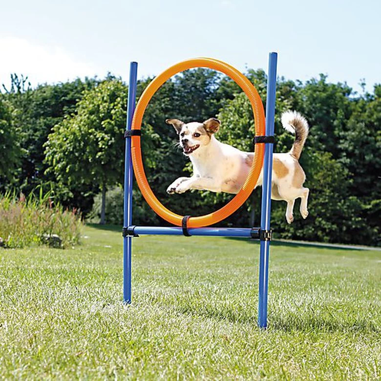 Trixie - Anneau Fun Agility Pour Chien - 115xØ3cm 2 Trixie - Anneau Fun Agility Pour Chien - 115xØ3cm – Image 2