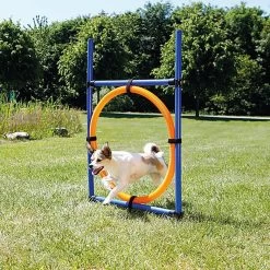 Trixie - Anneau Fun Agility Pour Chien - 115xØ3cm 5 Trixie - Anneau Fun Agility Pour Chien - 115xØ3cm -Pet Soldes 73664