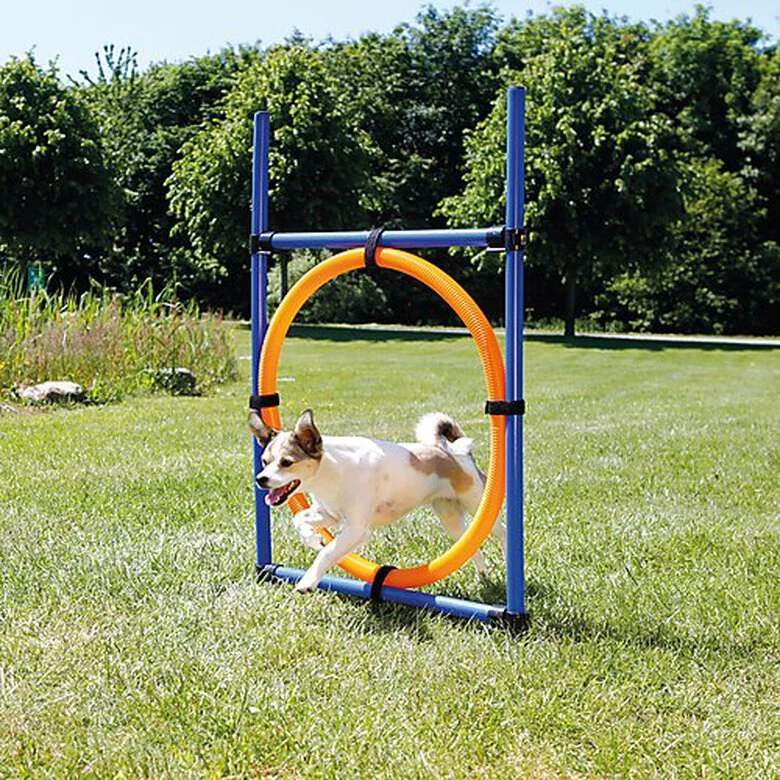 Trixie - Anneau Fun Agility Pour Chien - 115xØ3cm 3 Trixie - Anneau Fun Agility Pour Chien - 115xØ3cm – Image 3