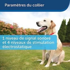 PetSafe - Kit Clôture Wireless Pour Chiens -Pet Soldes 74227