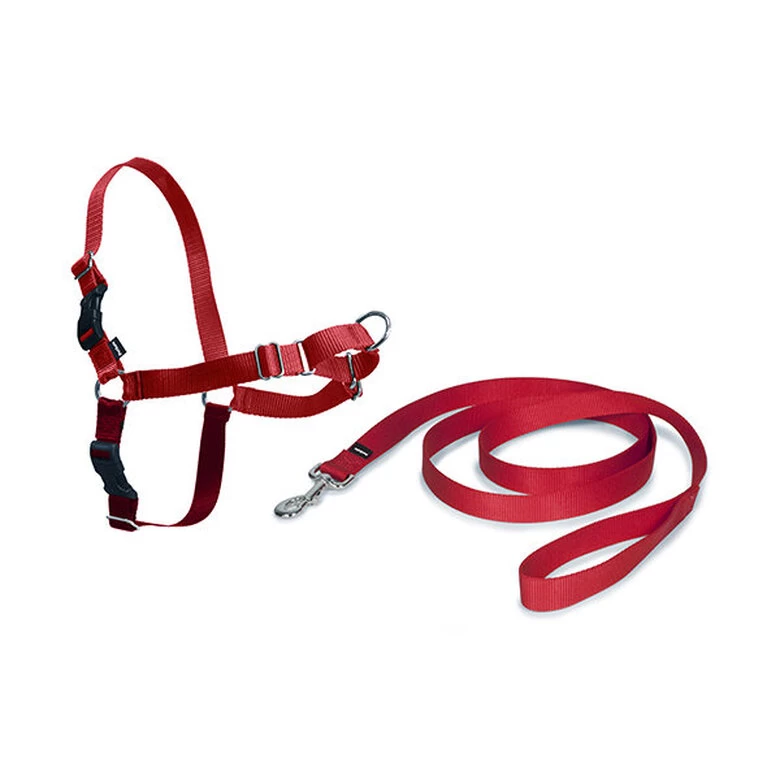 PetSafe - Harnais Easy Walk Rouge Pour Chiens - S 2 PetSafe - Harnais Easy Walk Rouge Pour Chiens - S – Image 2