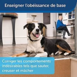 PetSafe - Système D'Aide à L'Education Pour Chiens - 100m 14 PetSafe - Système D'Aide à L'Education Pour Chiens - 100m -Pet Soldes 74255