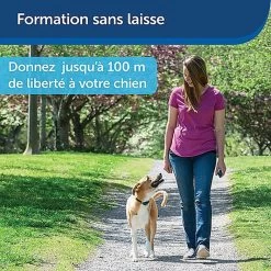 PetSafe - Système D'Aide à L'Education Pour Chiens - 100m 18 PetSafe - Système D'Aide à L'Education Pour Chiens - 100m -Pet Soldes 74261