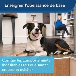 PetSafe - Système D'Aide à L'Education Pour Chiens - 300m -Pet Soldes 74275