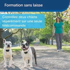 PetSafe - Système D'Aide à L'Education Pour Chiens - 300m -Pet Soldes 74277