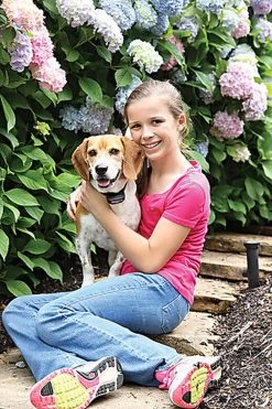 PetSafe - Clôture Anti-Fugue PIG19-16413 Pour Chien -Pet Soldes 74309