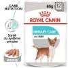 Royal Canin - Pâtée En Mousse Urinary Care Pour Chien De Toute Taille - 12x85g