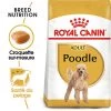 Royal Canin - Croquettes Poodle Adult Caniche Pour Chien - 1,5Kg