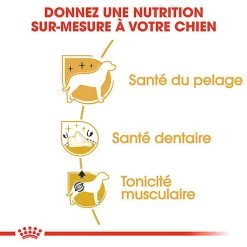 Royal Canin - Croquettes Poodle Adult Caniche Pour Chien - 1,5Kg -Pet Soldes 74392