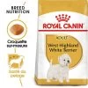 Royal Canin - Croquettes Westie Adult Pour Chiens - 1,5Kg