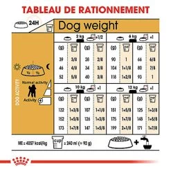 Royal Canin - Croquettes Poodle Adult Caniche Pour Chien - 1,5Kg -Pet Soldes 74394