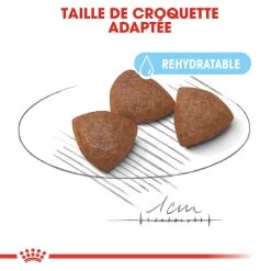 Royal Canin - Croquettes Starter Mother & Babydog Medium Pour Chiennes Et Chiots - 4KG -Pet Soldes 74402