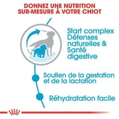 Royal Canin - Croquettes Starter Mother & Babydog Medium Pour Chiennes Et Chiots - 4KG -Pet Soldes 74403