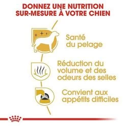 Royal Canin - Croquettes Maltese Adult Bichon Maltais Pour Chiens - 1,5Kg -Pet Soldes 74409