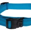 Rogz - Collier Utility Turquoise Pour Chiens - 34/56x2cm