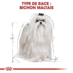 Royal Canin - Croquettes Maltese Adult Bichon Maltais Pour Chiens - 1,5Kg -Pet Soldes 74609