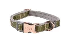 Rogz - Collier Urban Olive Pour Chiens - M