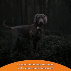 Weenect - Traceur GPS Blanc Edition 2023 Pour Chiens - L/XL -Pet Soldes 75825