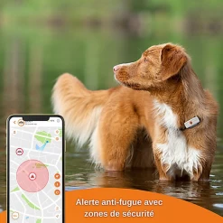 Weenect - Traceur GPS Blanc Edition 2023 Pour Chiens - L/XL -Pet Soldes 75826