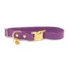 Pop Dog - Collier Précieux Violet Pour Chien - L