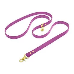 Pop Dog - Laisse Bandoulière Précieux Violet Pour Chien - M/L