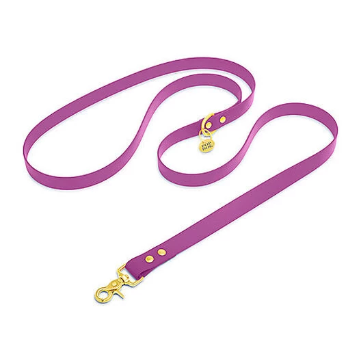Pop Dog - Laisse Bandoulière Précieux Violet Pour Chien - M/L 1 Pop Dog - Laisse Bandoulière Précieux Violet Pour Chien - M/L