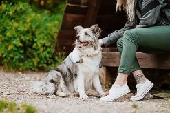 Tickless - Médaillon Ecopet Antiparasitaire Ultrason Pour Chiens Et Chats - 3,8cm 9 Tickless - Médaillon Ecopet Antiparasitaire Ultrason Pour Chiens Et Chats - 3,8cm -Pet Soldes 76336