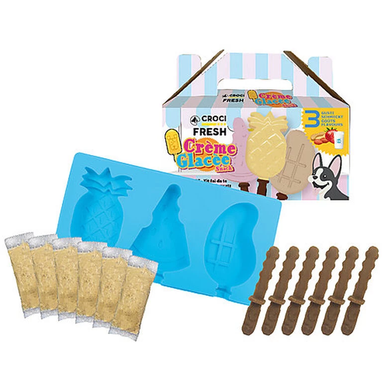 Croci - Kit De Création Crème Glacé Pour Chiens - 15cm 1 Croci - Kit De Création Crème Glacé Pour Chiens - 15cm