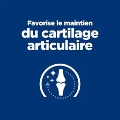 Hill's - Croquettes Prescription Diet J/D Mobility Pour Chiens - 12Kg 12 Hill's - Croquettes Prescription Diet J/D Mobility Pour Chiens - 12Kg -Pet Soldes 76537