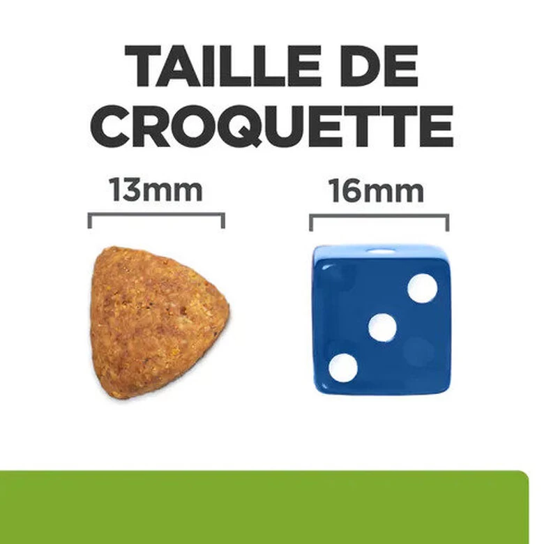 Hill's - Croquettes Prescription Diet J/D Metabolic + Mobility Pour Chiens - 12Kg 2 Hill's - Croquettes Prescription Diet J/D Metabolic + Mobility Pour Chiens - 12Kg – Image 2