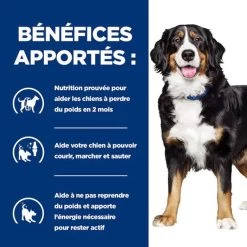 Hill's - Croquettes Prescription Diet J/D Metabolic + Mobility Pour Chiens - 12Kg 8 Hill's - Croquettes Prescription Diet J/D Metabolic + Mobility Pour Chiens - 12Kg -Pet Soldes 76547