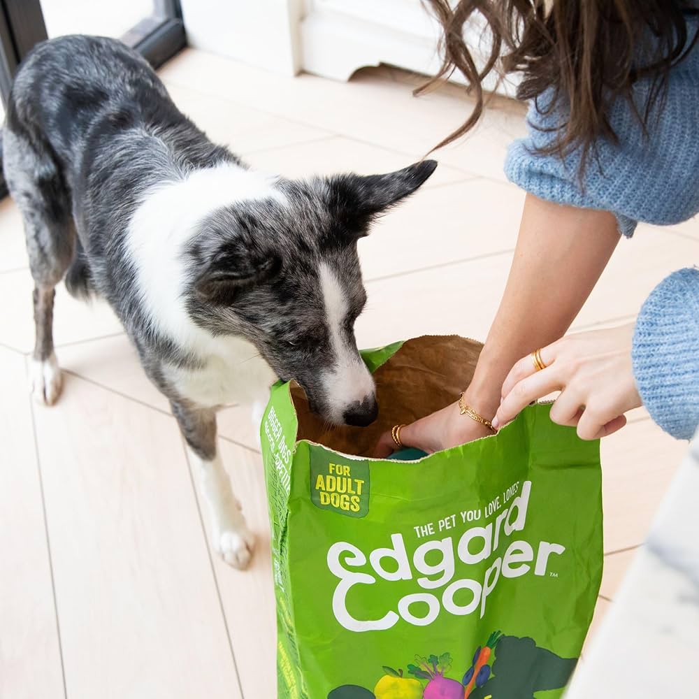 Pet Soldes -Pet Soldes 81R